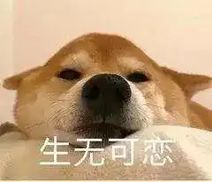 有时候比男人还能让我们开心的是....