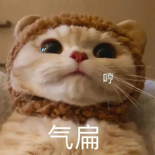 距离产生美,也适用于亲子关系啊