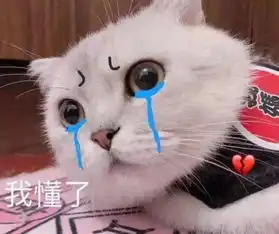 天蓬比死骑强的原因找到了镜中仙最喜欢复制的奖励居然是
