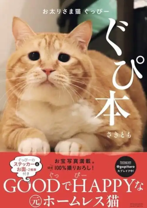 这只丧着脸的胖橘猫网红,凭借着丧丧的胖脸吸引着一大波粉丝,现在还出书了...