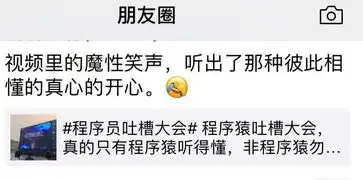 爆笑程序员吐槽大会只有程序员听懂的段子