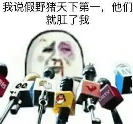 可喜可贺腾讯dnf客服都认定假猪套天下第一拉
