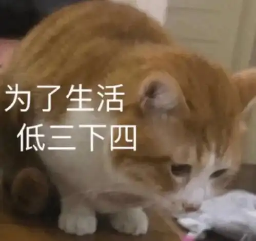 可爱表情包拿图片别这样,我们还不熟