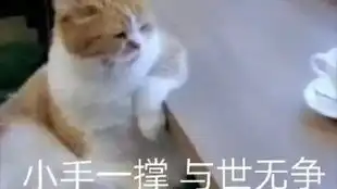 hy从零开始的up生涯