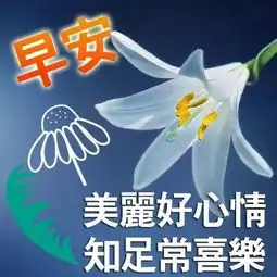 2019最新群发早上好问候动态表情图片,暖心早上好图片表情祝福语录