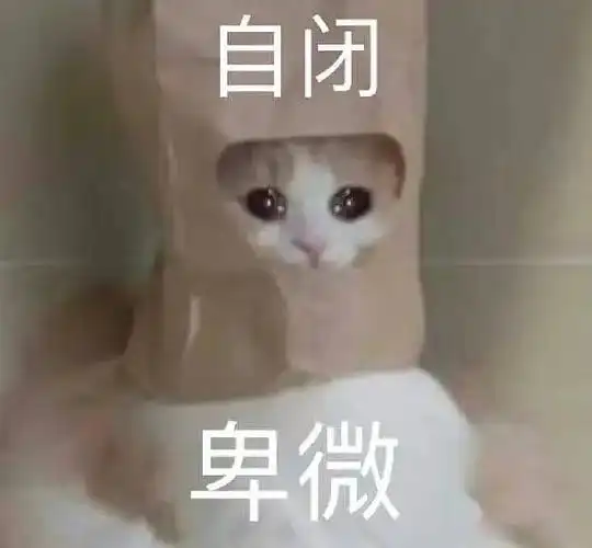 梨绘的相册喵