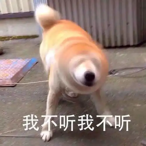 陈某民,全责头盔闯红灯交通事故网易订阅