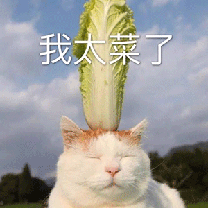 0115沙雕表情包今天除了皮,又啥也没干