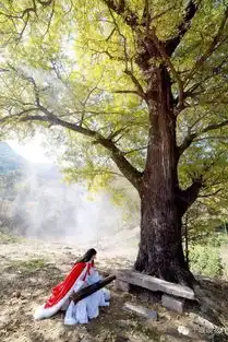 带着妻女隐居武当深山他才是世界上活得最赚的人