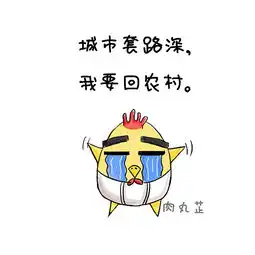 小鸡萌萌wuwu哒