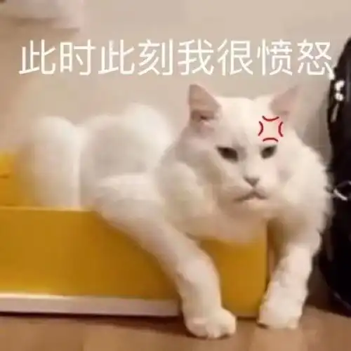 萌宠表情包我有问题