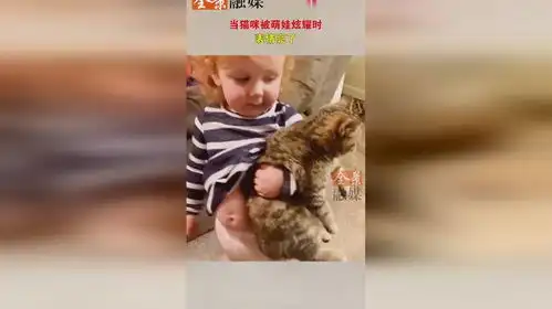 当猫咪被萌娃炫耀时,表情亮了