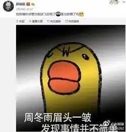 我才是真的赵丽颖是什么梗