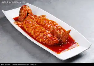 松鼠鱼图片免费下载编号3595726红动网