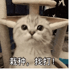 细节拉满了
