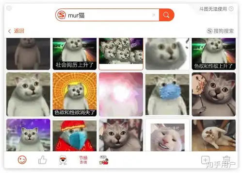 来些mur猫的表情可好
