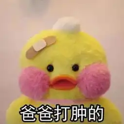 鸭子图片网红鸭表情包