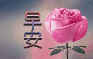 早上好问候祝福语录早安祝福大全动态图
