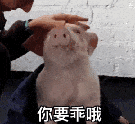 沙雕表情包送给你