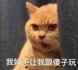 与朋友聊天儿怎么办用这些图片我狠起来自己都害怕
