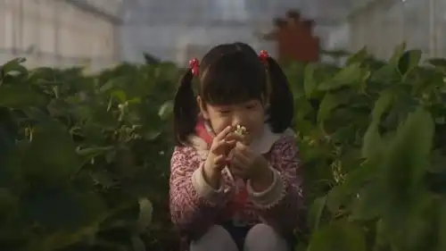 他为女儿上学,天价卖掉了自己收藏的游戏王卡牌