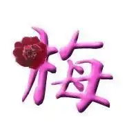 艺术有关尚字头像微信头像图片大全