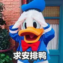 五一小长假去哪儿玩南宁各大景区都有精彩活动哦