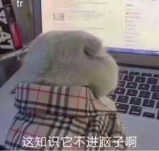 网友下班抱着金毛玩耍,谁知金毛突然含住她的手,活生生的表情包