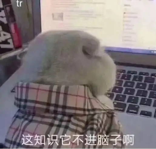 网课一线牵,珍惜这段缘