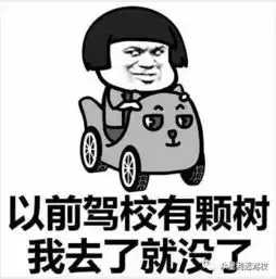 笨学员的学车笑话史
