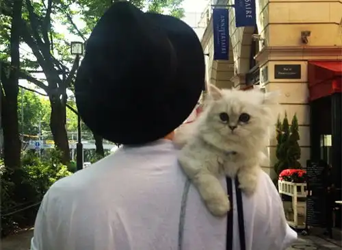 猫系or犬系,十二星座女们要选择的男友标准星座屋