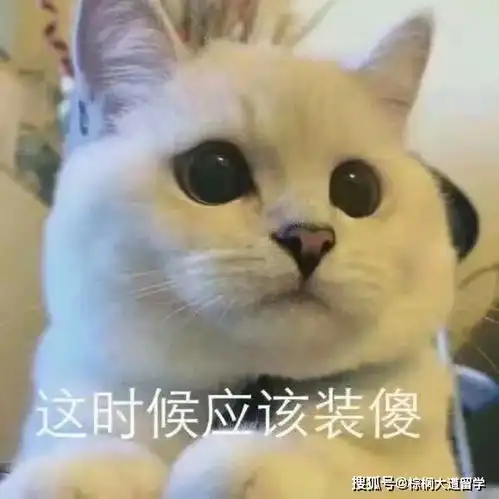 留学前需要了解的30件小事