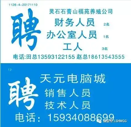 最新招聘求职车辆生活信息每日更新