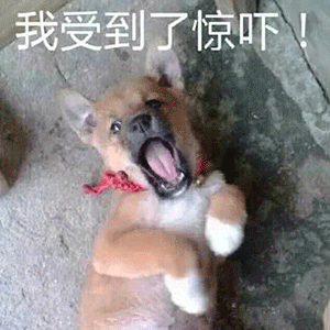 幽默搞笑表情包想到你,我就春心荡漾