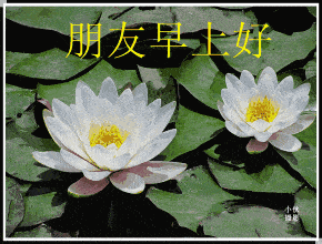 今日份灵魂拷问你离得开表情包吗