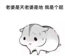 开心一刻哄老婆必备表情包你值得拥有