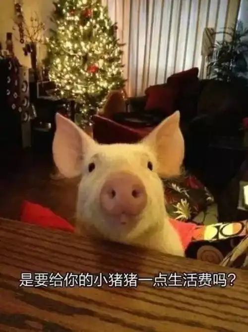 你知道有一个肉肉的女朋友,有多幸福吗