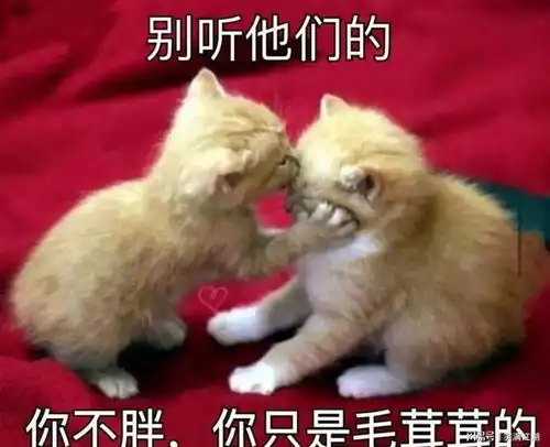 搞笑一边说着减肥,一边点着夜宵一边说着早睡,一边看剧熬夜