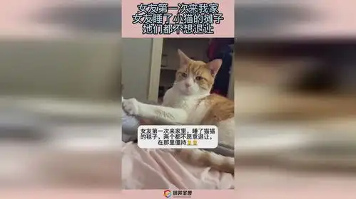 女友第一次来我家,女友睡了小猫的摊子,她们都不想退让