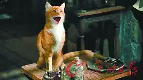 两代蓝迷大集结妈妈喜欢蓝妹妹女儿更爱阿兹猫
