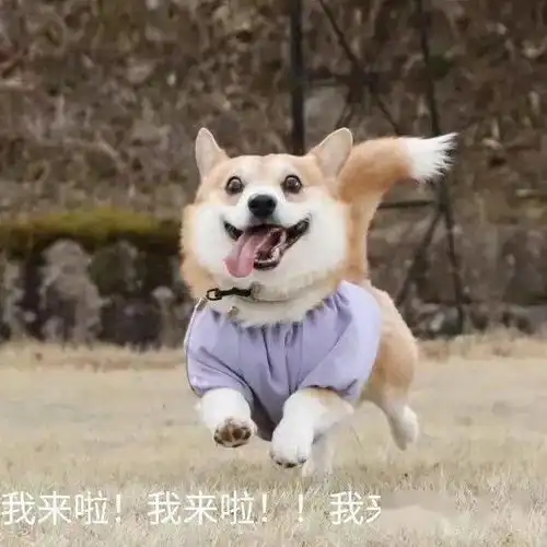 原创湖南米粉大盘点