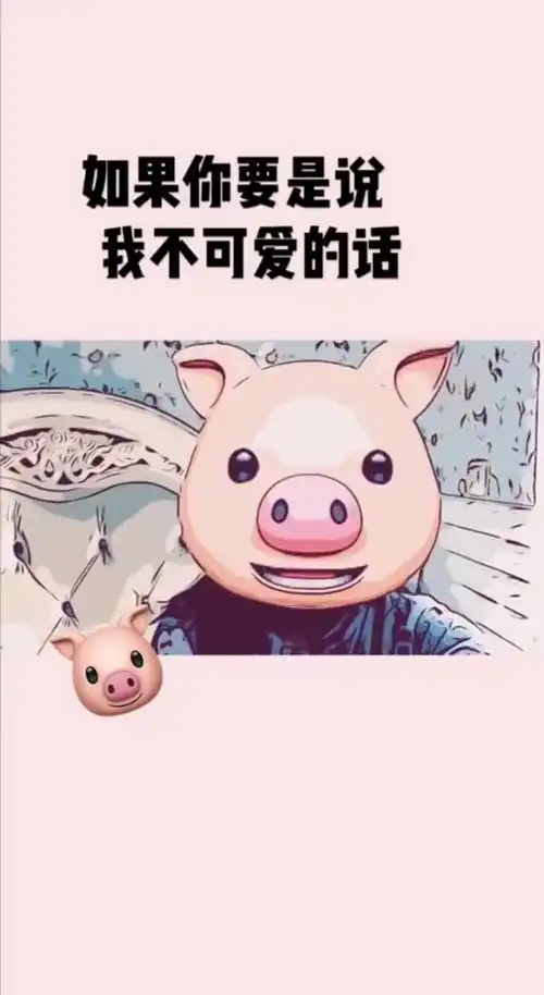 超萌表情包,简直太可爱了