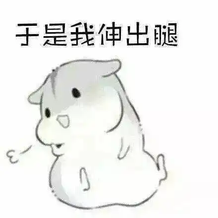 我有海量表情包,走遍天下都不怕