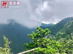 夏都庐山行,云深不知处