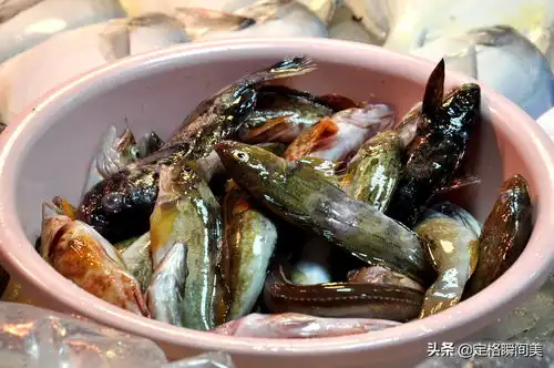 禁渔期,青岛垂钓爱好者满仓丰收,400块钱包船凌晨三点出发