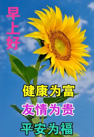 最漂亮早上好动态表情图片大全,早上好动图美图大全