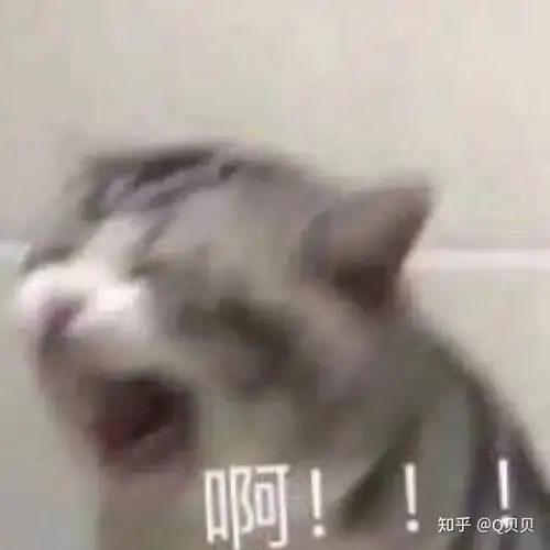 有没有能委婉表达愤怒的表情包