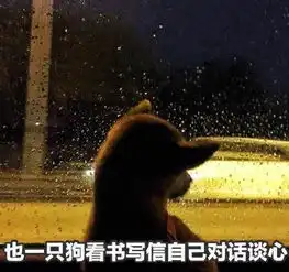 明天就是情人节,一波单身狗表情包备用
