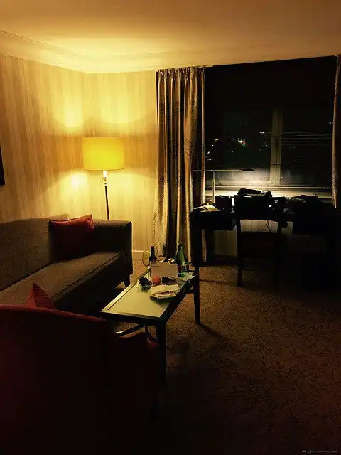 巴黎大洲际歌剧院景观套房和维也纳洲际公园景观套房