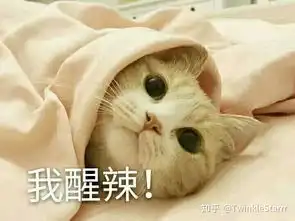 有哪些适合和喜欢的男生聊天女生用的可爱表情包